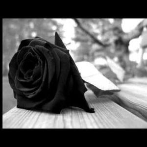 Meet your Posher, Edith